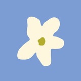 details department