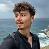 Дмитрий Торгов