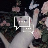 группа общение ❤️ ЧАТИК ДРУЗЕЙ