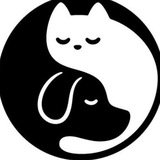 ДоброЛап | Животные Щёлково 🐥🐕🐈