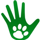 DogsMSK