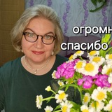 Домашняя Незабудка