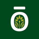 Эфирные масла dōTERRA Евразия
