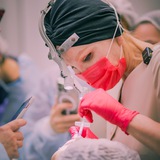 Dr.Kolesova