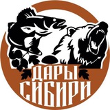 ДАРЫ СИБИРИ 38