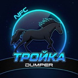 Орден Дамплиеров