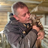 Мое Подворье