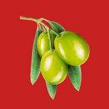 Кипр чат | кафе и рестораны Ларнака Пафос Лимассол Никосия