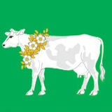 Ельдигино online