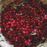 ESTETIKA / ПОСТАВЩИК ОБУВИ / ДРОПШИПИНГ