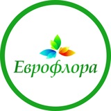 Еврофлора Краснодар