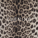 EVENING
