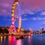 London Job Everyday
