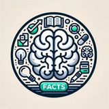Интересные Факты 💡