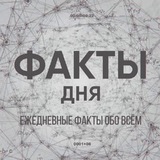 Факты в мире📚