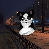 Вз группа от чихольчика