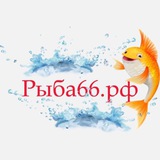 Рыба66.рф Екатеринбург 🌊