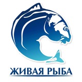 ЖИВАЯ-РЫБА.РФ 🇷🇺