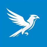 🇷🇺 Freelancer Business Russia