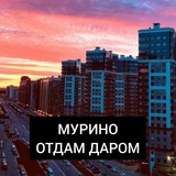 Отдам даром Мурино | Девяткино 🌅