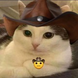 Котеки для настроения
