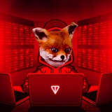 TON Future