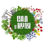 САД С НУЛЯ | Оксана Пискарёва