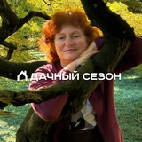 Дачный сезон с Галиной Соколовой