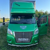 Чат газель-черепашка🐢