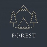 FOREST / ЛЕС