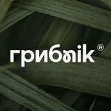 БИОХАКИНГ🧠 I ГРИБNIK™