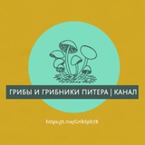 🌲 Грибы и Грибники Питера / Спб / Карелии / Лен. Области (Отчеты) | Лес | Природа