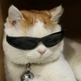 Взаимные подписки