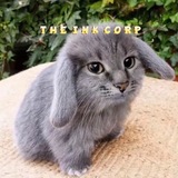 The Ink corp.