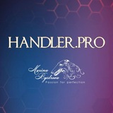 HANDLER.pro 🏆