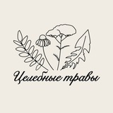 Целебные травы 🌿