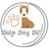 ХелпДог Донецк чат 🐾
