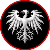 История человечества