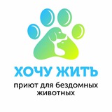АНО «Хочу жить». Приют для бездомных животных.
