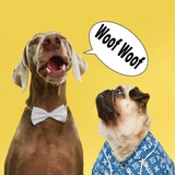 HOOOTDOGS