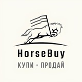 HorseBuy - Купля продажа лошадей