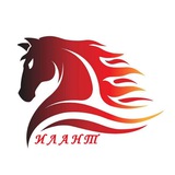 ЗАПЧАСТИ ДЛЯ СПЕЦТЕХНИКИ ‼️ГАРАНТИЯ И КАЧЕСТВО‼️