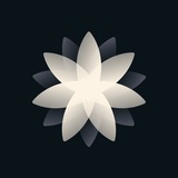 BBE: иллюстрация