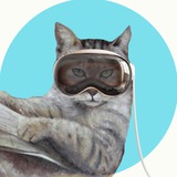 Кот Учёный