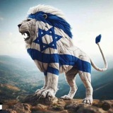Израильтяне за границей | Поддержка