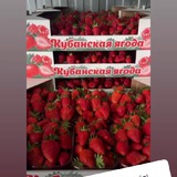 КФХ Кучма Иван канал