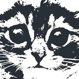 ИЗНАНКА Отрадный К-Ч