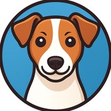 Джек Рассел 🐕 Общение и Советы