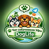 DogLife