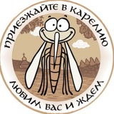 🦟 Карельский комарик | Петрозаводск и Карелия
